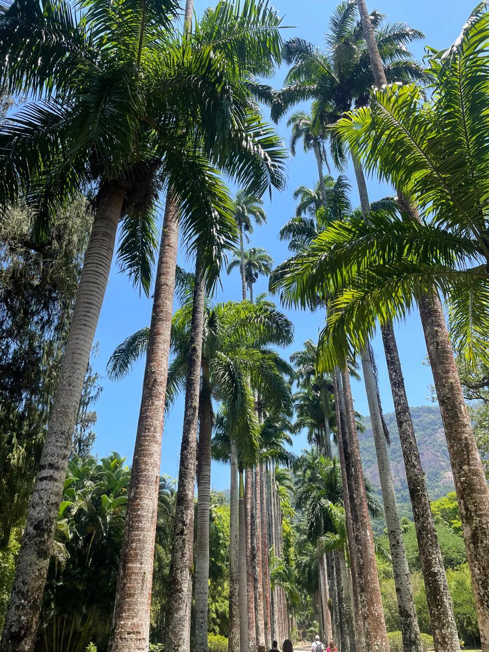 Botanical Garden